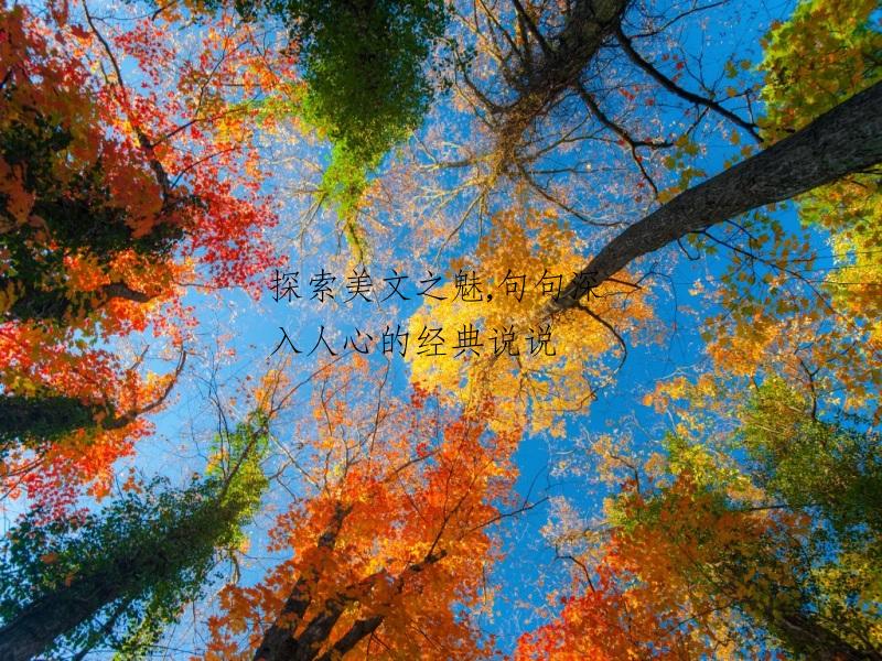 探索美文之魅,句句深入人心的经典说说