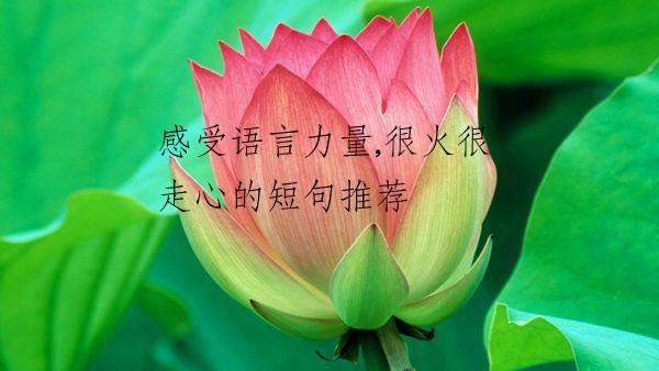 感受语言力量,很火很走心的短句推荐