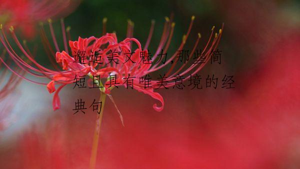 邂逅美文魅力,那些简短且具有唯美意境的经典句