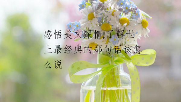 感悟美文深情,了解世上最经典的那句话该怎么说