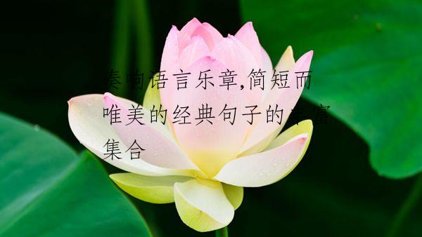 奏响语言乐章,简短而唯美的经典句子的丰富集合
