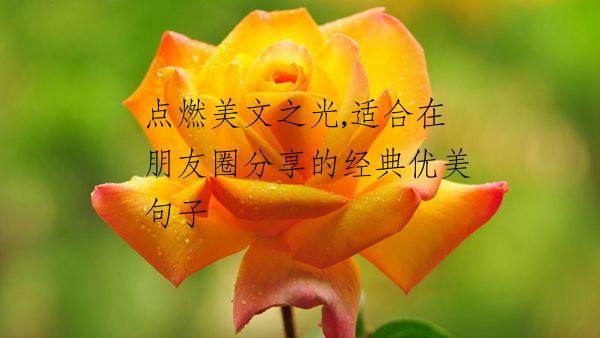 点燃美文之光,适合在朋友圈分享的经典优美句子
