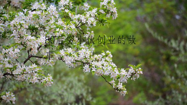80后穷小伙创业的故事