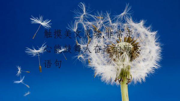 触摸美文灵魂,非常走心能鼓舞人奋进的励志语句
