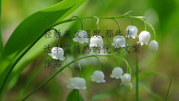 轻触美文温度,那些表达丰富情感的优美文案作品