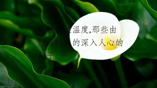 轻触美文温度,那些由短语构成的深入人心的句子