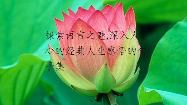 探索语言之魅,深入人心的经典人生感悟的句子集
